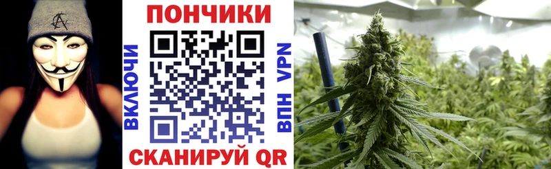 где купить наркотик  Зарайск  Шишки марихуана Amnesia 